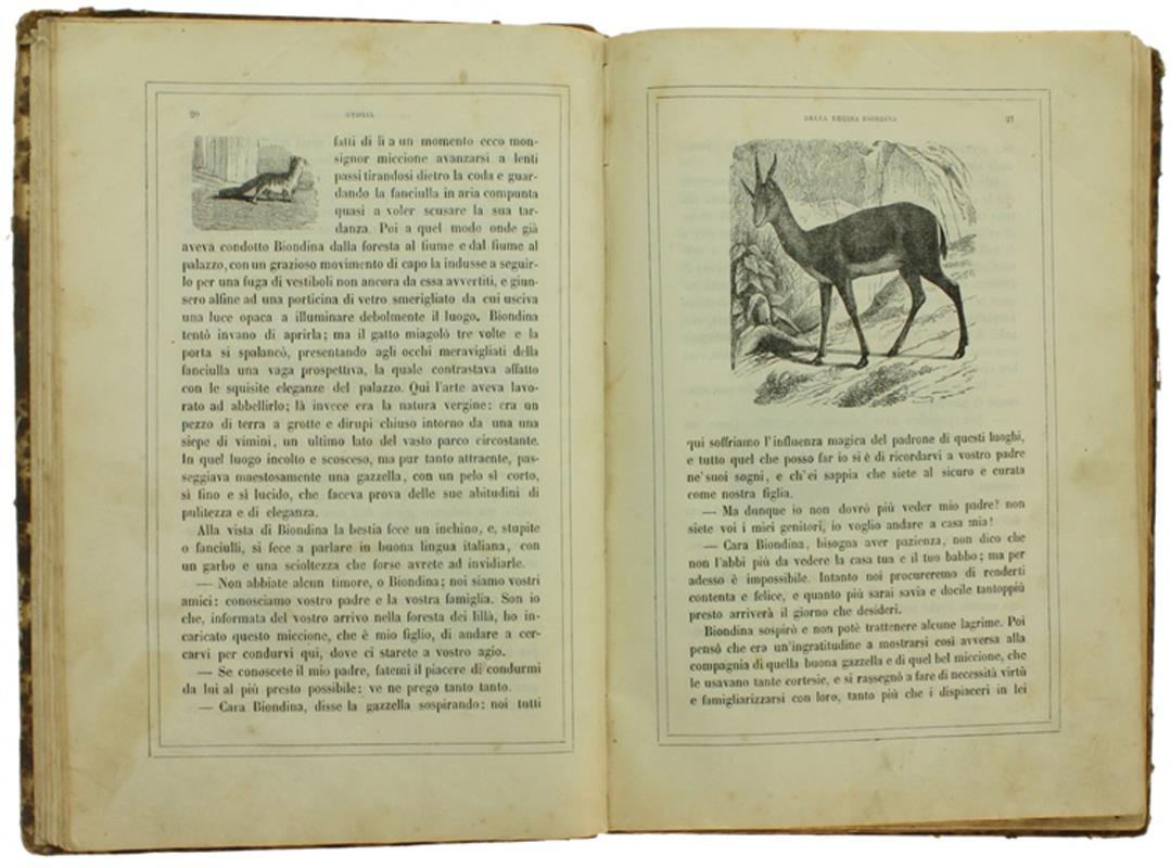 Alcune Pagine Future Del Libro Dei Fanciulli