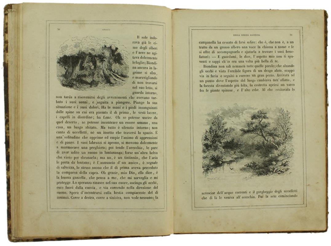 Alcune Pagine Future Del Libro Dei Fanciulli