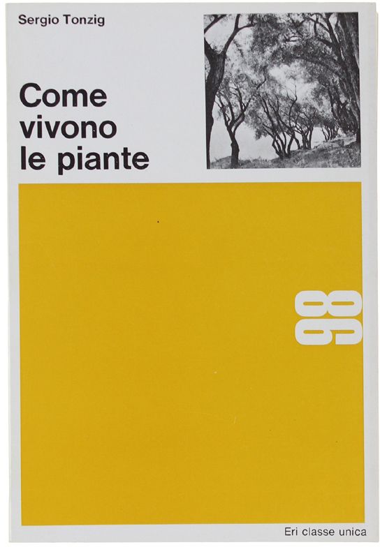 Bergoglio Libri d'Epoca Snc