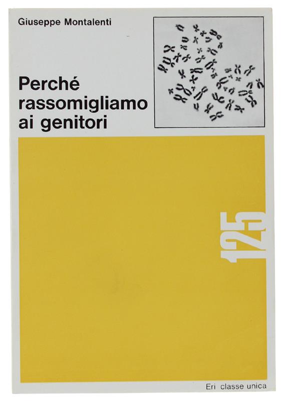 Bergoglio Libri d'Epoca Snc