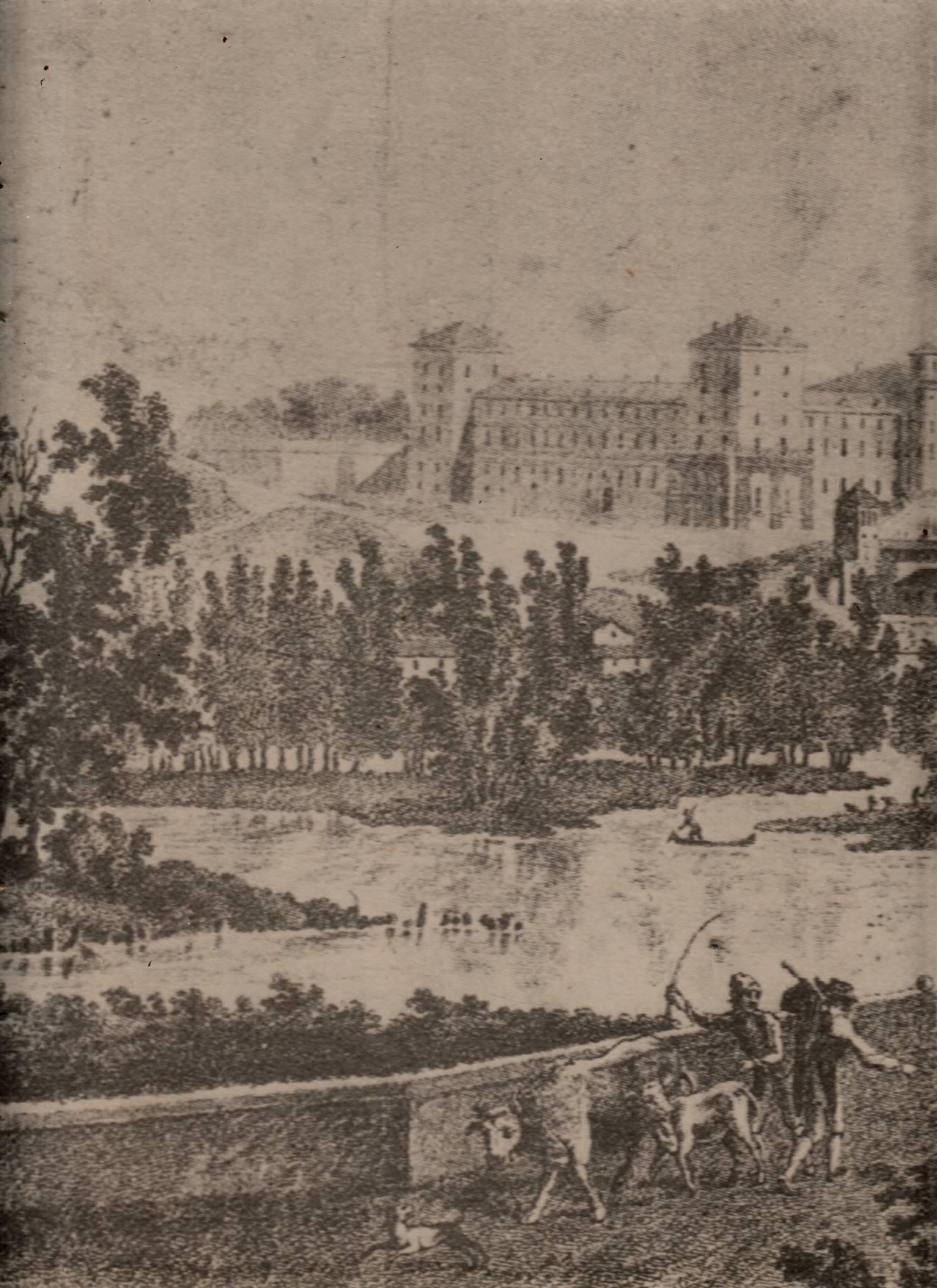 Laboratorio del libro