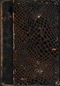 Nuovo dizionario della lingua italiana in servigio della gioventù - Francesco Cerruti - copertina