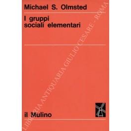 I gruppi sociali elementari - copertina