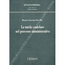 La tutela cautelare nel processo amministrativo - M. Concetta Fuccillo - copertina