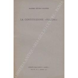 La costituzione fluida - copertina