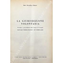 La giurisdizione volontaria. Procedure e provvedimenti della Camera di Consiglio. Manuale teorico-pratico con formulario - copertina