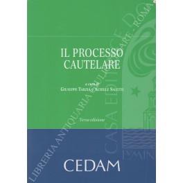 Il processo cautelare - copertina