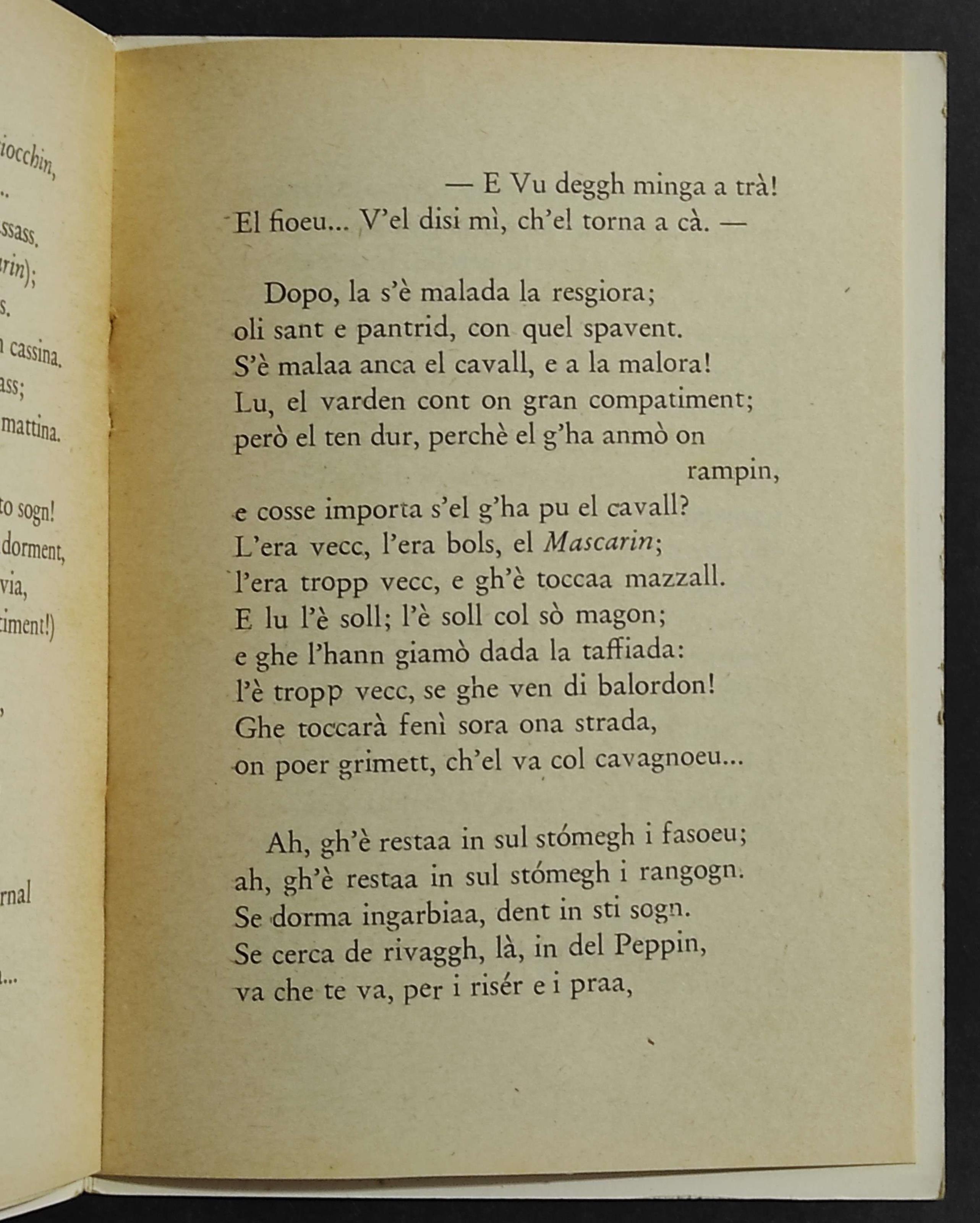 El Cavall del Peppin