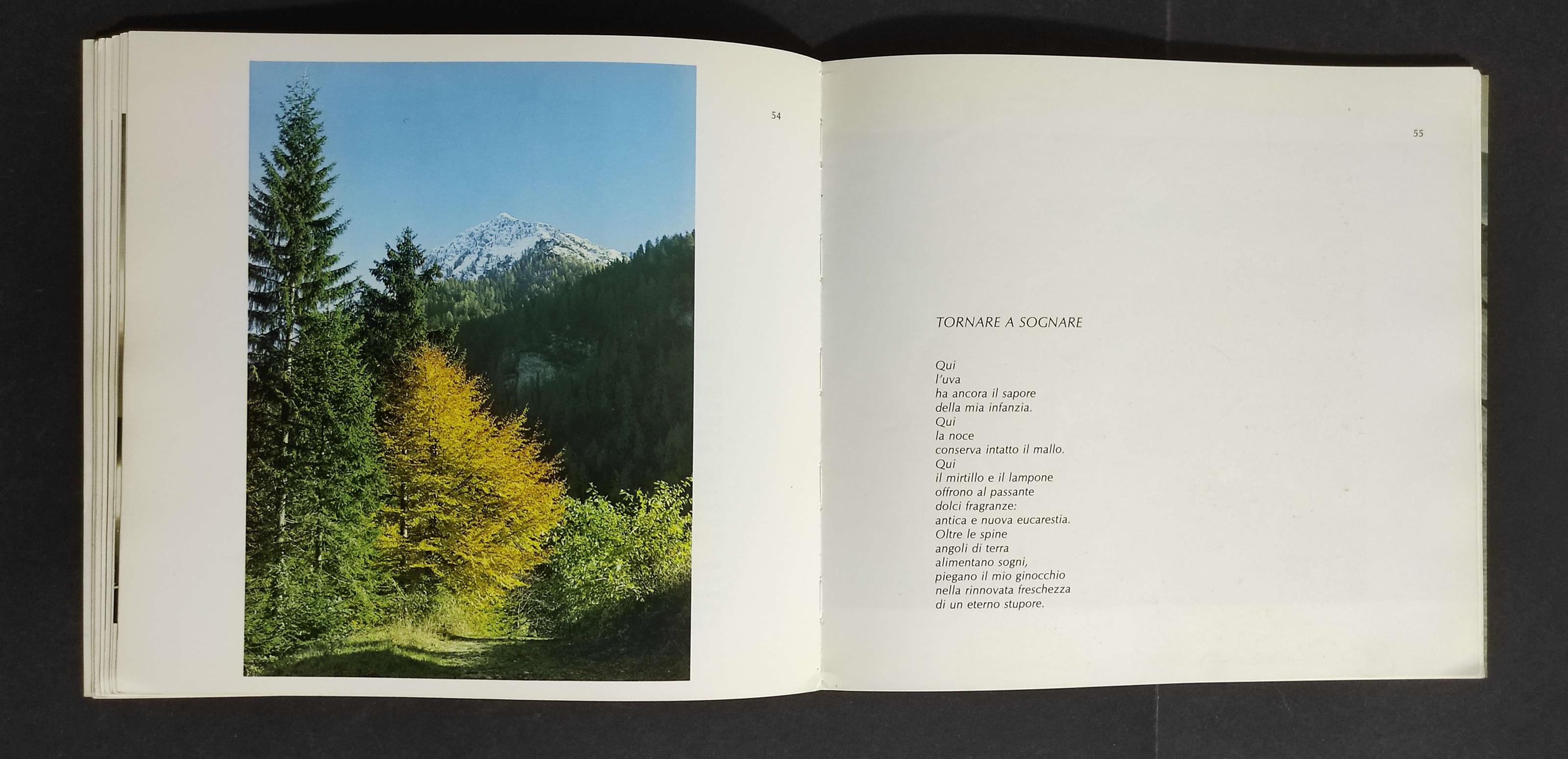 Per chi sa Ascoltare il Silenzio