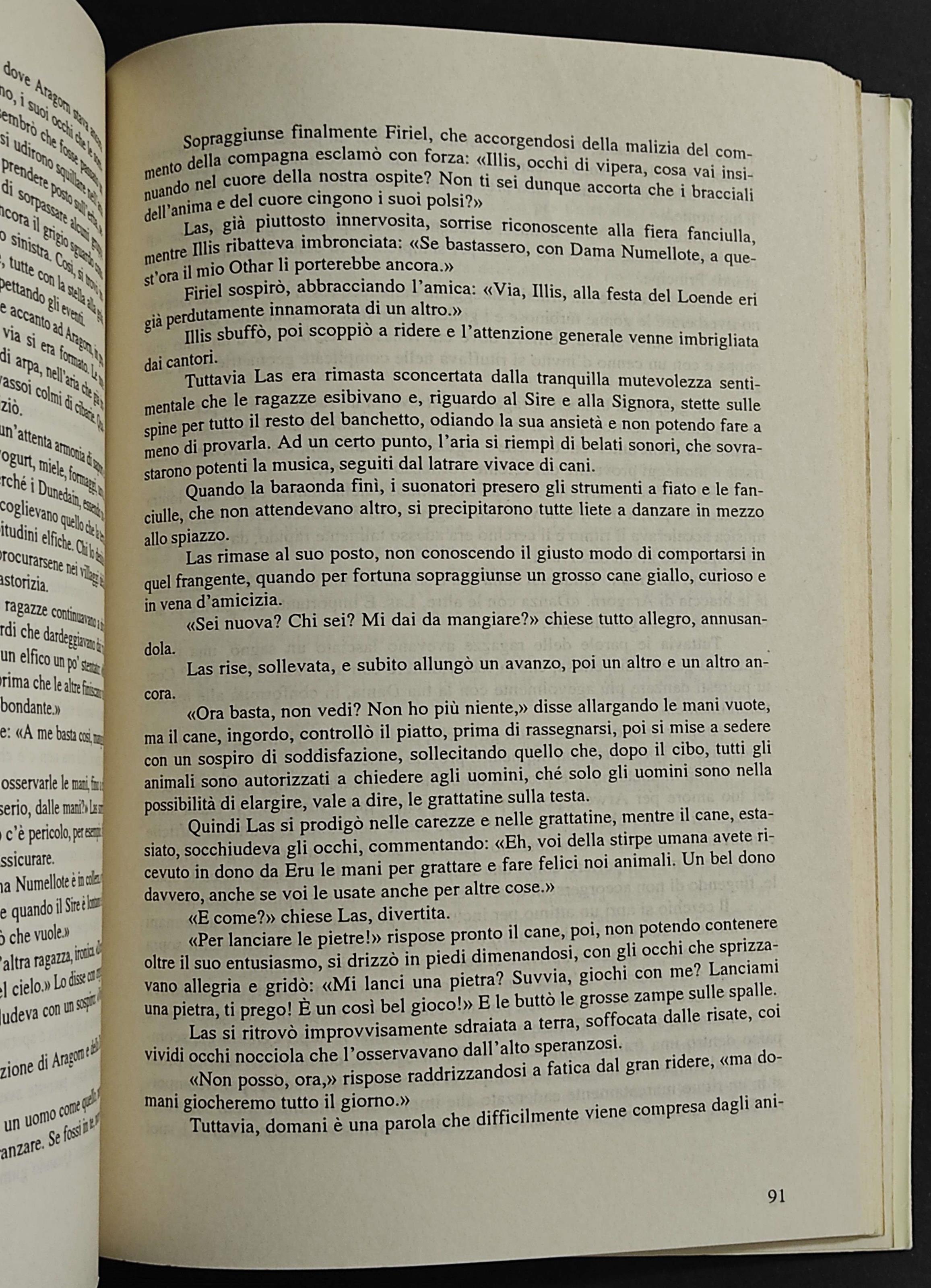 Aragorn e la Maga Verde