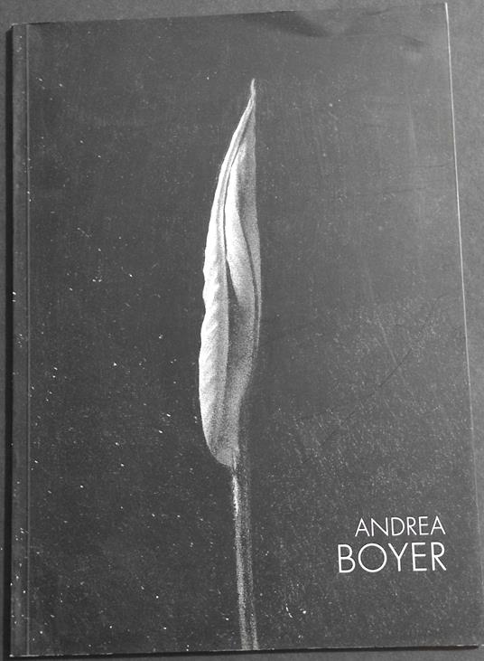 Andrea Boyer - Stefano Crespi - copertina