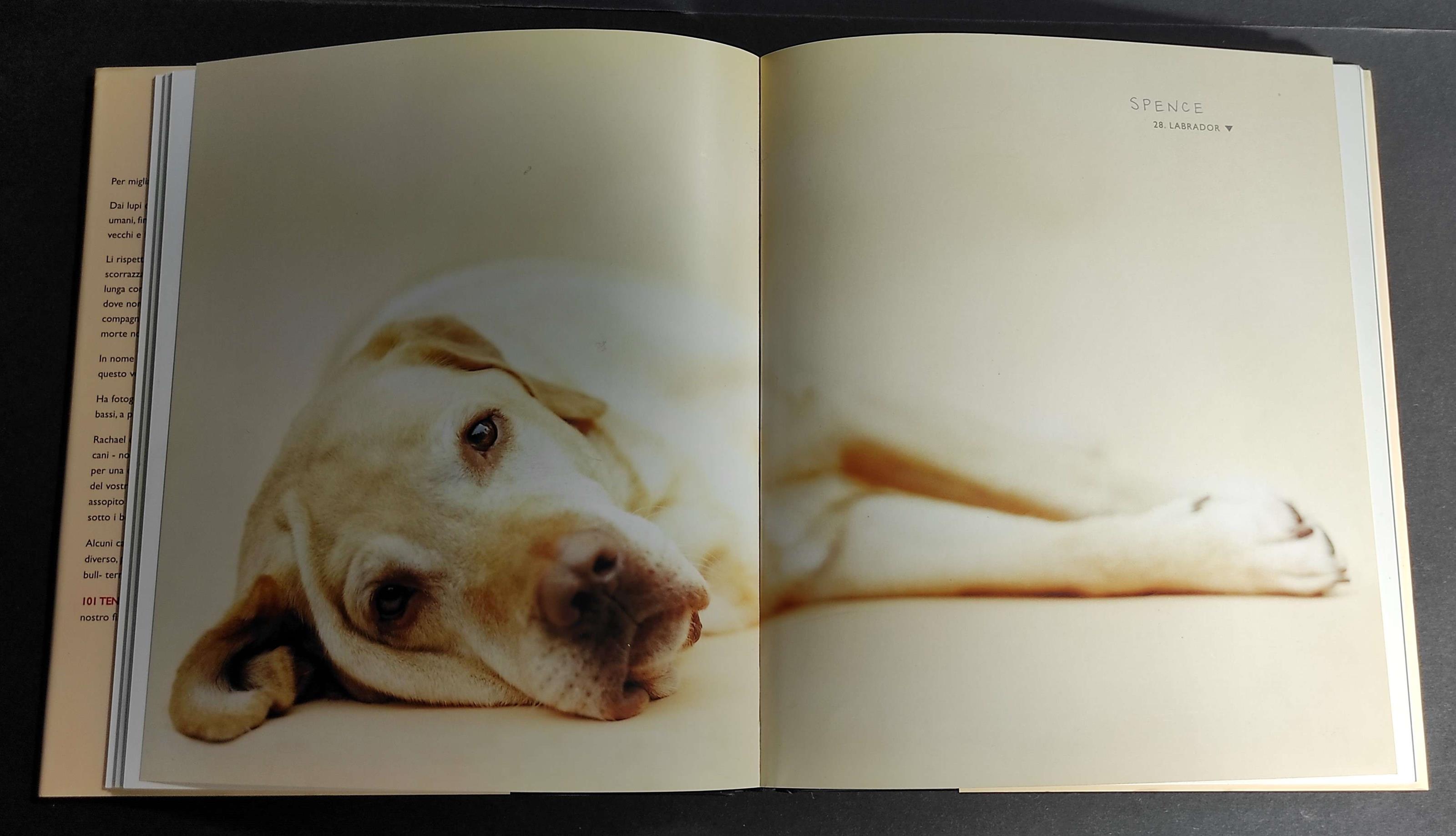 101 Tenerezze per Amore dei Cani