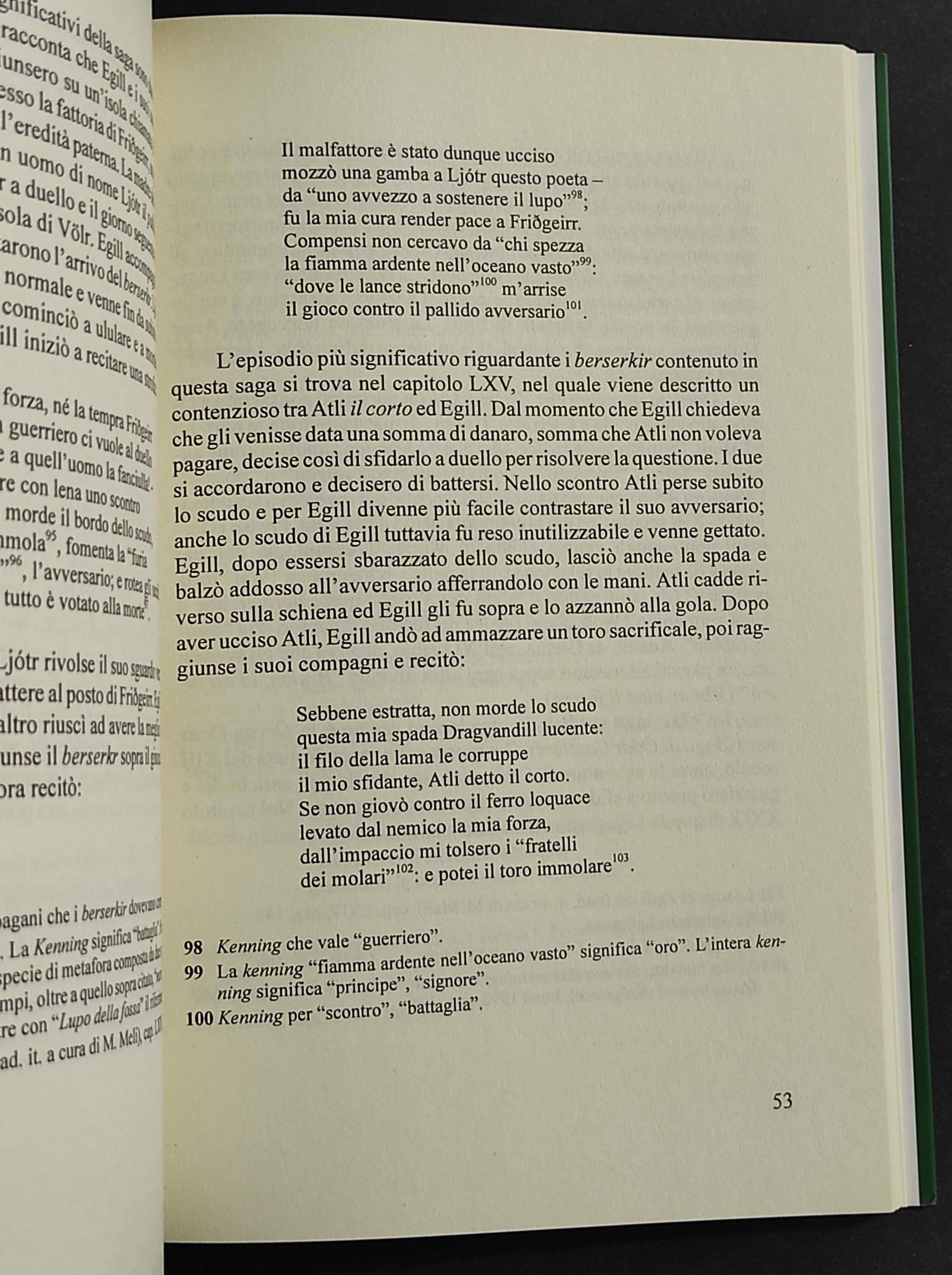 I Guerrieri-Lupo nell'Europa Arcaica