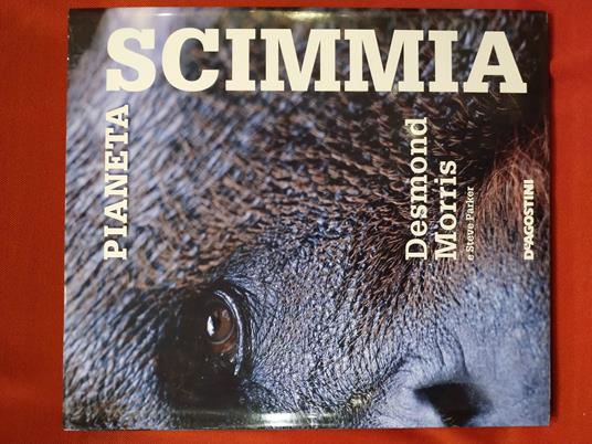 Scimmia - copertina