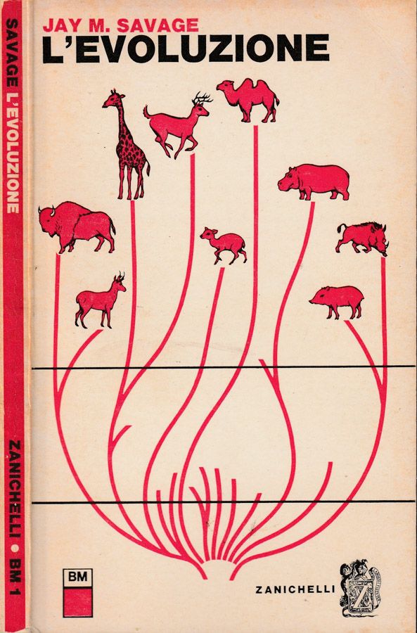 Biblioteca di Babele