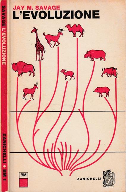 L' evoluzione - Jay M. Savage - copertina