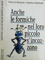 Anche le formiche nel loro piccolo s'incazzano