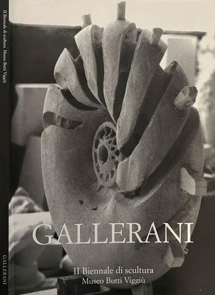 Gallerani - Luisa Somaini - copertina