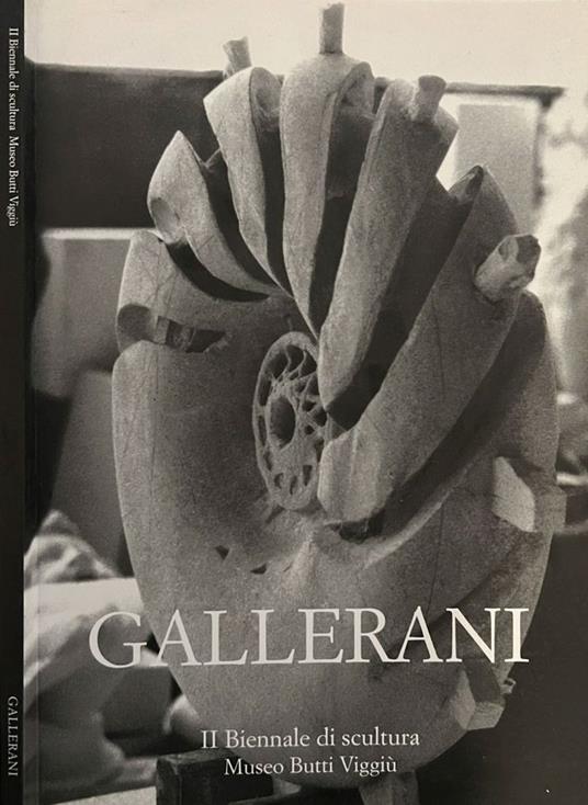 Gallerani - Luisa Somaini - copertina