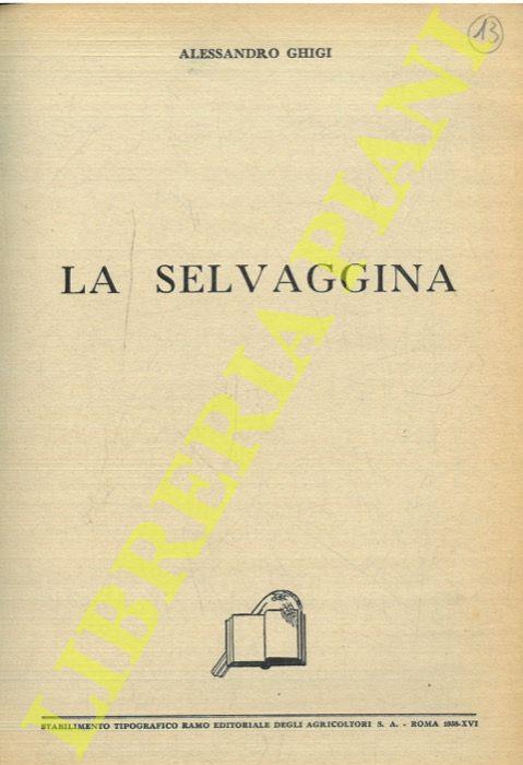 Libreria Piani