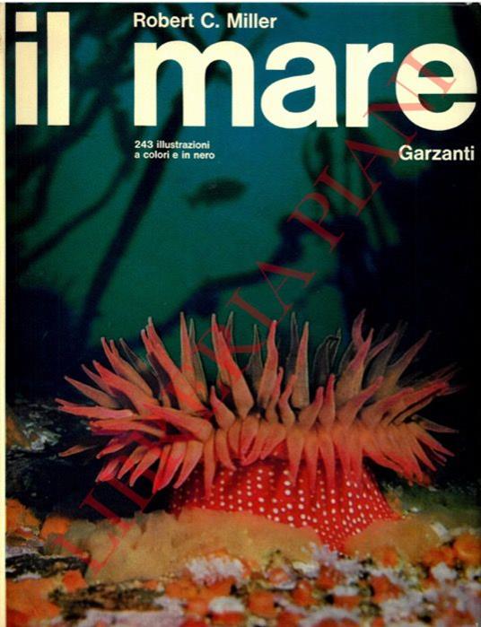 Il mare - Robert M. Miller - copertina