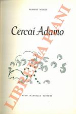Cercai Adamo