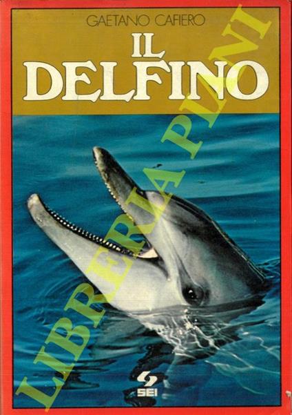 Il delfino - Gaetano Cafiero - copertina