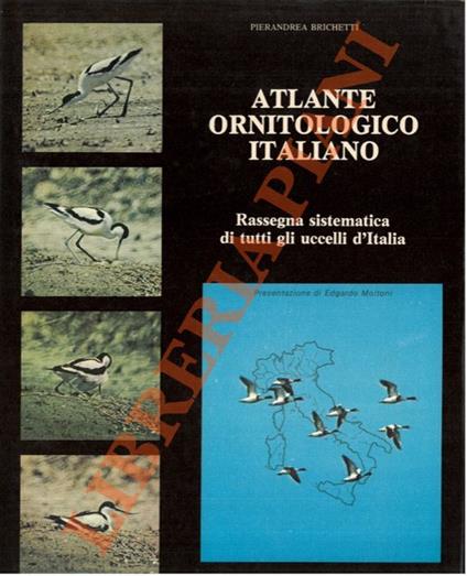 Atlante ornitologico italiano. Rassegna sistematica di tutti gli uccelli d'Italia - Pierandrea Brichetti - copertina