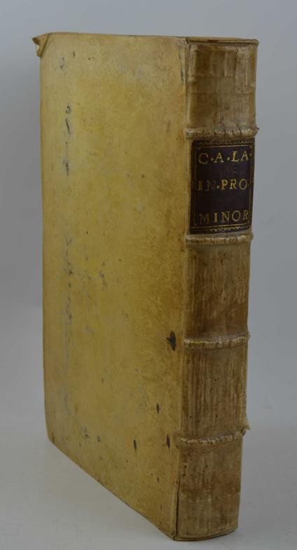 Commentaria in duodecim Prophetas minores - copertina