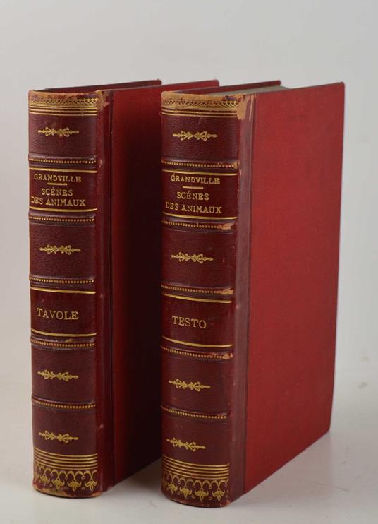 Scènes de la vie privée et publique des animaux. Etudes de moeurs contemporaines publiées sous la direction de M. P.-J. Stahl - copertina