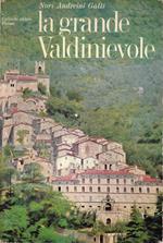 La grande Valdinievole. Dieci itinerari d'arte e turismo