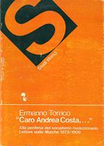 Caro Andrea Costa,.... Alla periferia del socialismo rivoluzionario. Lettere dalle Marche 1873/1909