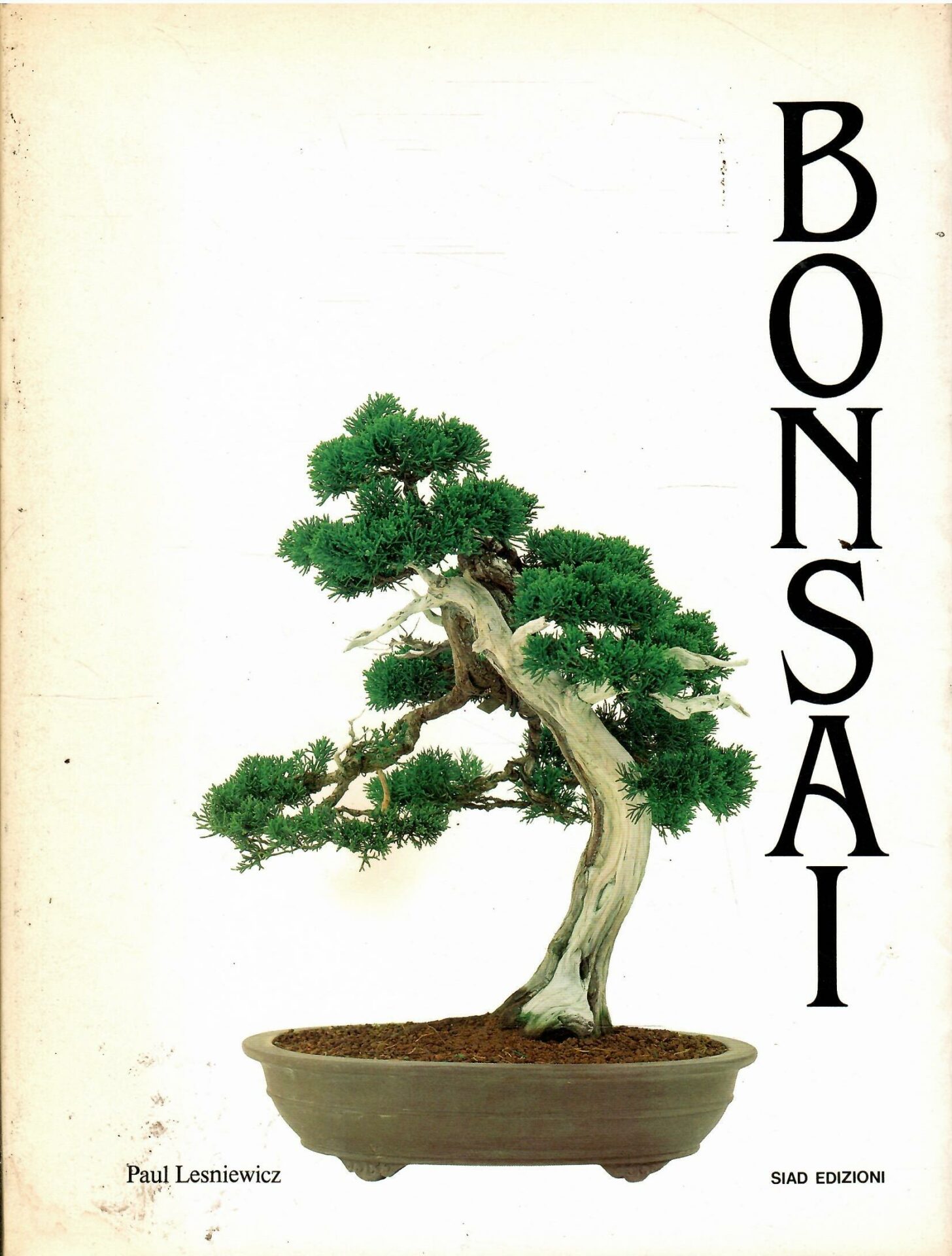 Libroteka di Fattoretti Silvia