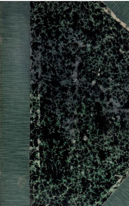 La Vita Nuova - Dante Alighieri - copertina