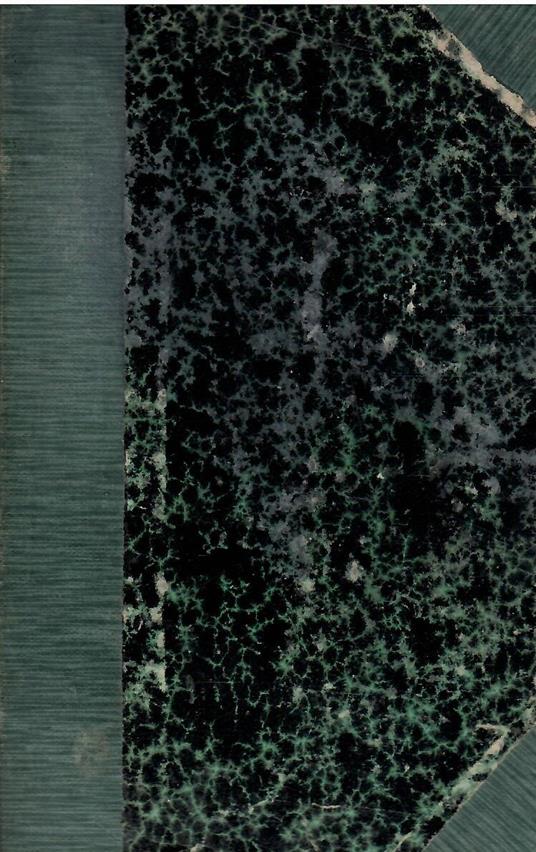 La Vita Nuova - Dante Alighieri - copertina