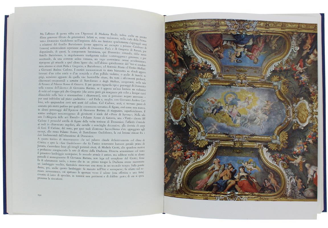 Palazzo Madama In Torino