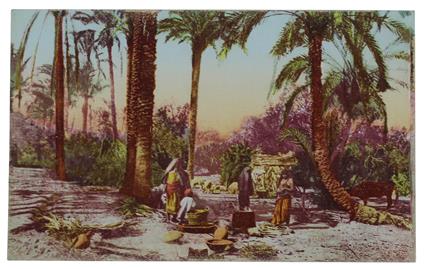 Tripoli (Italia) - copertina