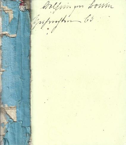 Palmblatter - copertina