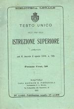Testo unico delle leggi sulla istruzione superiore