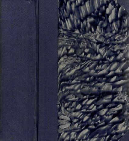 Luce dell'Anima - Benedetto Baur - copertina