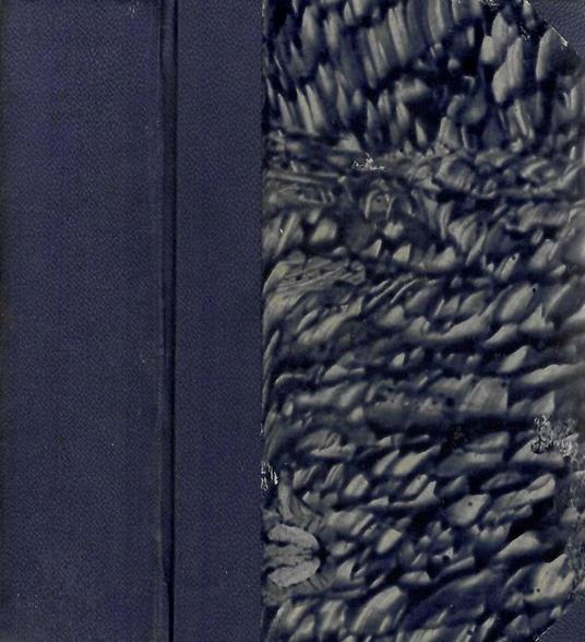 Luce dell'Anima - Benedetto Baur - copertina