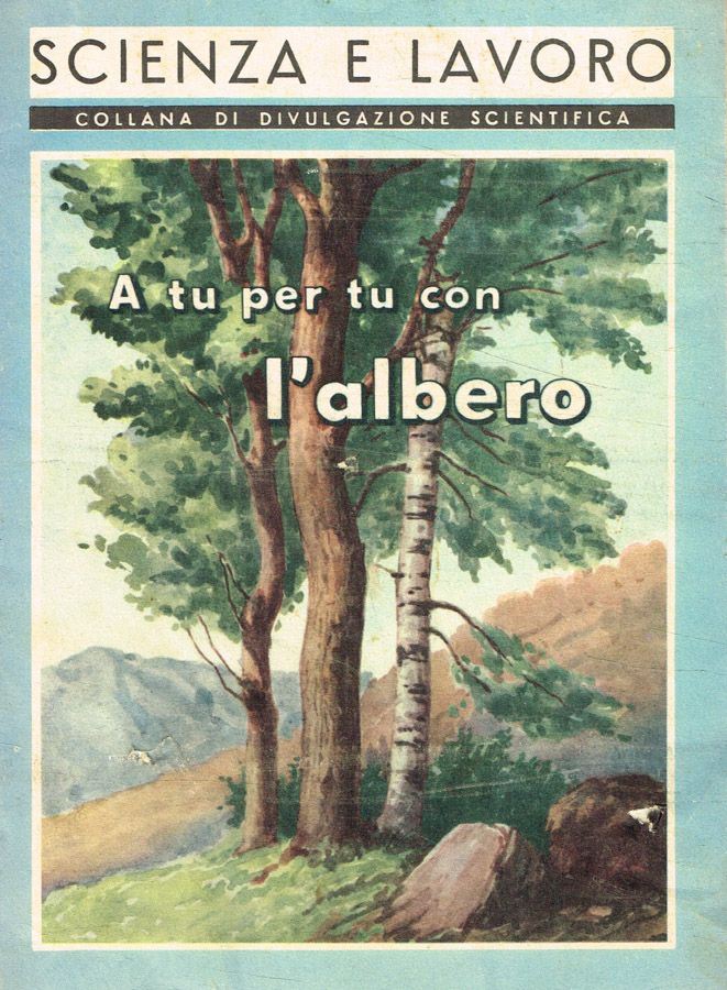 Biblioteca di Babele