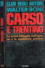 Carso e trentino. Le prime battaglie sull'Isonzo e la spedizione punitiva