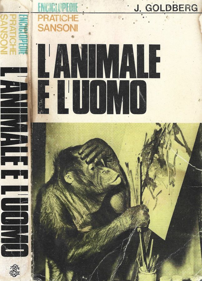 Biblioteca di Babele