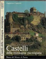 Castelli della montagna parmigiana
