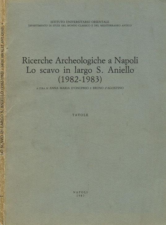 Ricerche archeologiche a Napoli. Lo scavo in largo S.Aniello ( 1982-1983). Tavole - copertina