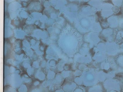 Fostér - Matteo Montani - copertina