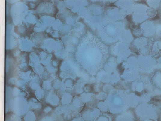 Fostér - Matteo Montani - copertina