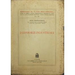I consorzi industriali - Remo Franceschelli - copertina
