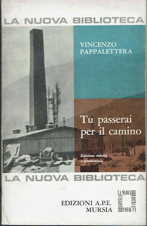 Tu passerai per il camino - Vincenzo Pappalettera - copertina